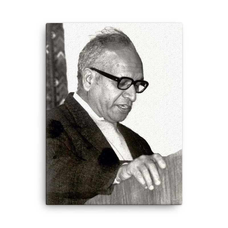 Bipan Chandra canvas print on a plain backdrop in size 18