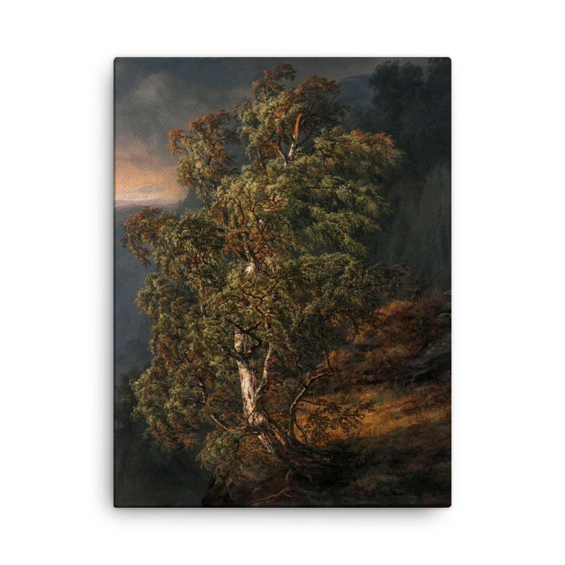 Birch Tree in a Storm by Johan Christian Clausen Dahl, 1849 canvas print on a plain backdrop in size 18