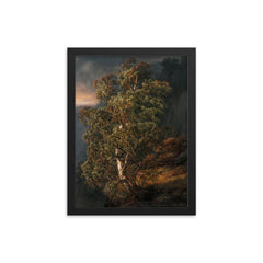 Birch Tree in a Storm by Johan Christian Clausen Dahl, 1849 framed print on a plain backdrop in size 12"x16".