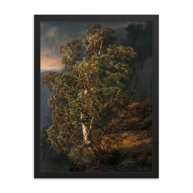 Birch Tree in a Storm by Johan Christian Clausen Dahl, 1849 framed print on a plain backdrop in size 18