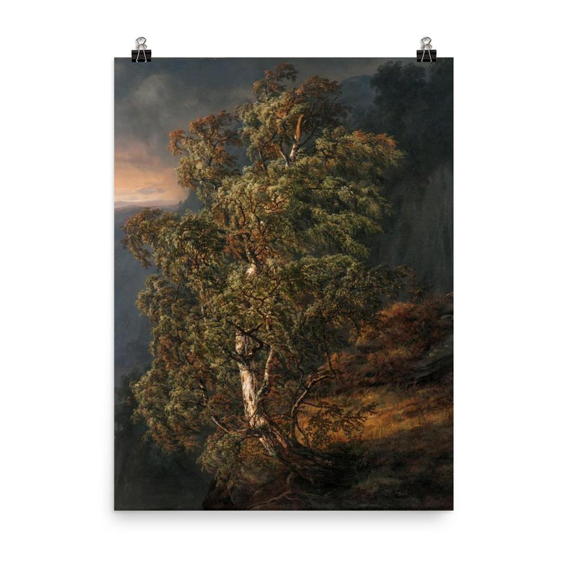 Birch Tree in a Storm by Johan Christian Clausen Dahl, 1849 poster on a plain backdrop in size 8