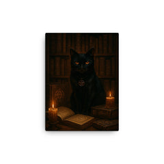 Black cat occult librarian among forbidden grimoires canvas print on a plain backdrop in size 12"x16".