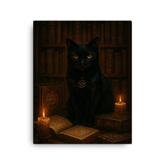 Black cat occult librarian among forbidden grimoires canvas print on a plain backdrop in size 16"x20".