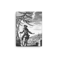 Blackbeard canvas print on a plain backdrop in size 12"x16".