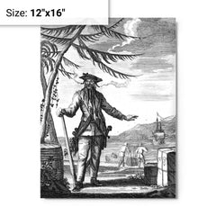 Blackbeard metal print on a plain backdrop in size 12"x16".