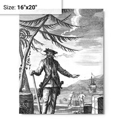 Blackbeard metal print on a plain backdrop in size 16"x20".