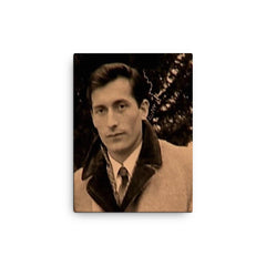 Blago Zadro canvas print on a plain backdrop in size 12"x16".