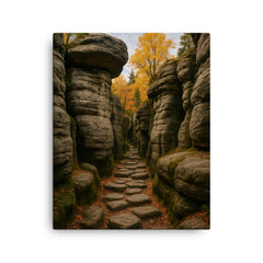 Bledne Skaly Errant Rocks Poland canvas print on a plain backdrop in size 16"x20".