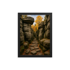Bledne Skaly Errant Rocks Poland framed print on a plain backdrop in size 12"x16".