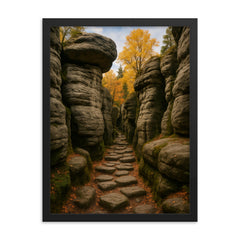 Bledne Skaly Errant Rocks Poland framed print on a plain backdrop in size 18"x24".