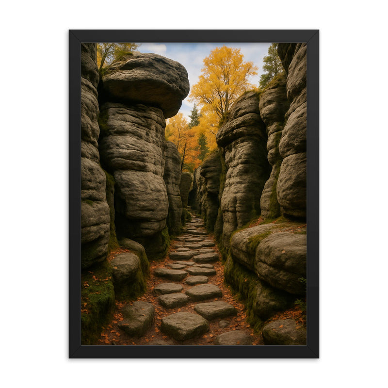 Bledne Skaly Errant Rocks Poland framed print on a plain backdrop in size 18