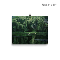 Bottle Brush Trees by Jian Chong Min, c. 1990 poster 4