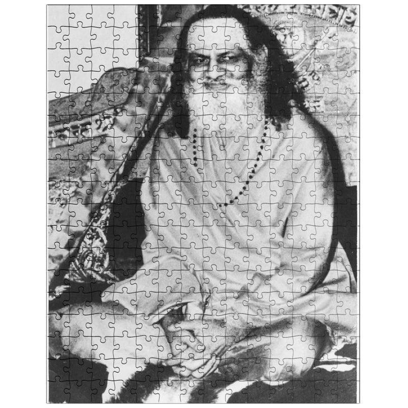 Brahmananda Saraswati jigsaw puzzle