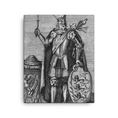 Brian Boru canvas print on a plain backdrop in size 16"x20".