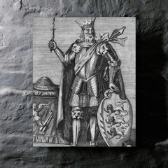 Brian Boru metal print mockup