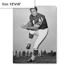 Brian Piccolo metal print on a plain backdrop in size 12"x16".