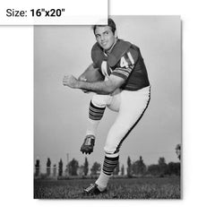 Brian Piccolo metal print on a plain backdrop in size 16"x20".