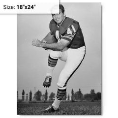 Brian Piccolo metal print on a plain backdrop in size 18"x24".