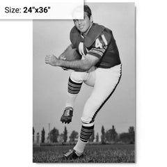 Brian Piccolo metal print on a plain backdrop in size 24"x36".