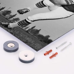 Brian Piccolo metal print mockup