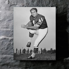 Brian Piccolo metal print mockup