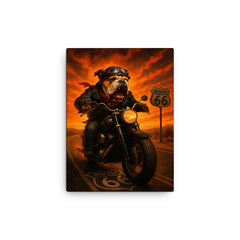 Bulldog biker roaring down Route 66 against a fiery sunset canvas print on a plain backdrop in size 12"x16".