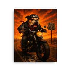 Bulldog biker roaring down Route 66 against a fiery sunset canvas print on a plain backdrop in size 16"x20".