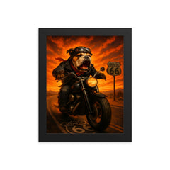 Bulldog biker roaring down Route 66 against a fiery sunset framed print on a plain backdrop in size 8"x10".