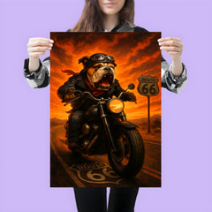 Bulldog biker roaring down Route 66 against a fiery sunset poster 3