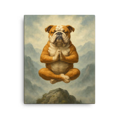 Bulldog yoga guru levitating serenely on a misty mountain peak canvas print on a plain backdrop in size 16"x20".