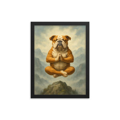 Bulldog yoga guru levitating serenely on a misty mountain peak framed print on a plain backdrop in size 12"x16".