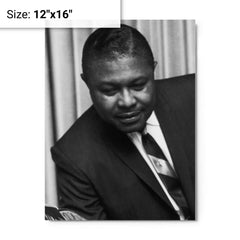 C L Franklin metal print on a plain backdrop in size 12"x16".