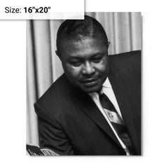 C L Franklin metal print on a plain backdrop in size 16"x20".