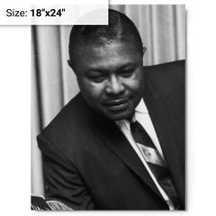 C L Franklin metal print on a plain backdrop in size 18"x24".