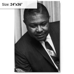 C L Franklin metal print on a plain backdrop in size 24"x36".