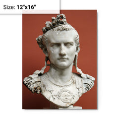 Caligula metal print on a plain backdrop in size 12"x16".