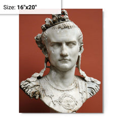 Caligula metal print on a plain backdrop in size 16"x20".