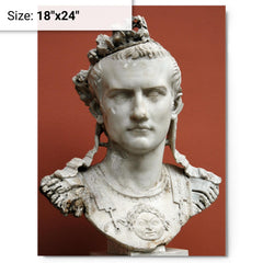 Caligula metal print on a plain backdrop in size 18"x24".