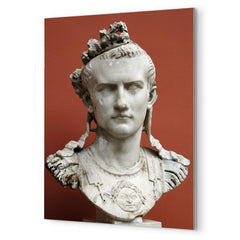 Caligula metal print mockup