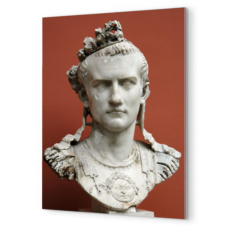Caligula metal print mockup