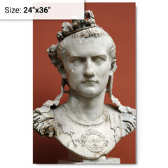 Caligula metal print on a plain backdrop in size 24"x36".