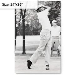 Calvin Peete metal print on a plain backdrop in size 24"x36".