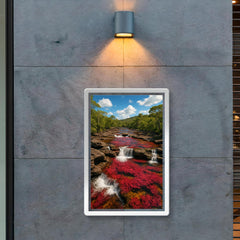 Caño Cristales Colombia poster 2