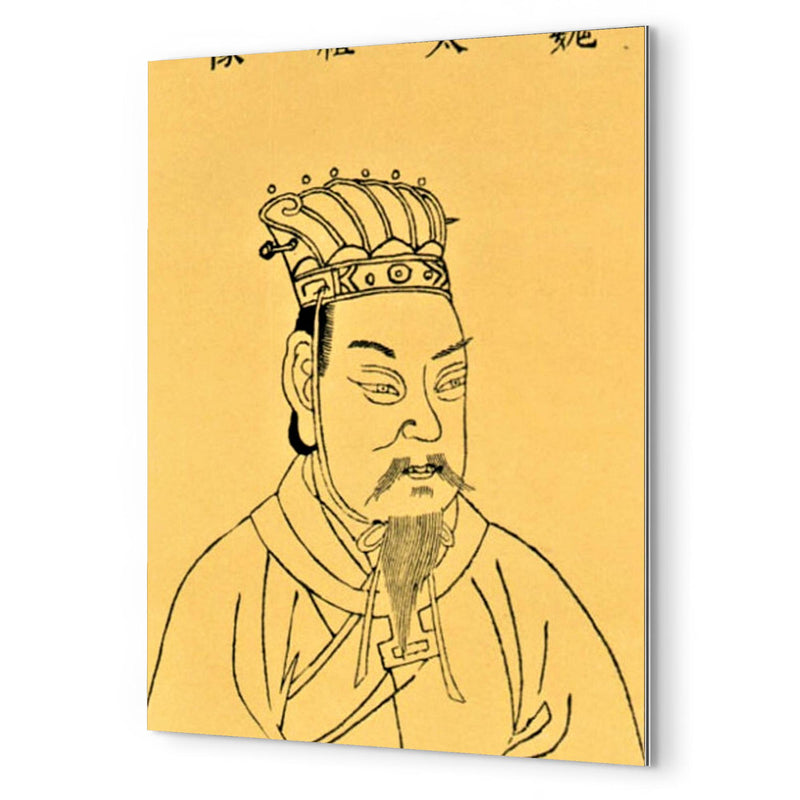 Cao Cao metal print mockup