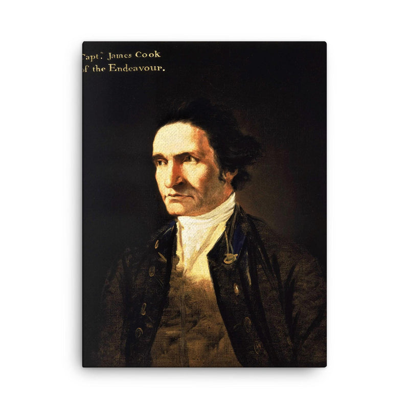 Captain James Cook canvas print on a plain backdrop in size 18