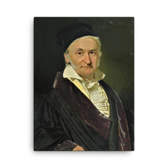 Carl Friedrich Gauss canvas print on a plain backdrop in size 18"x24".