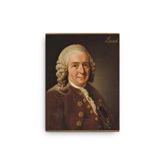 Carl Linnaeus canvas print on a plain backdrop in size 12"x16".