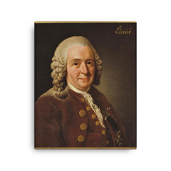 Carl Linnaeus canvas print on a plain backdrop in size 16"x20".