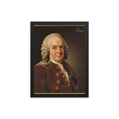 Carl Linnaeus framed print on a plain backdrop in size 12"x16".