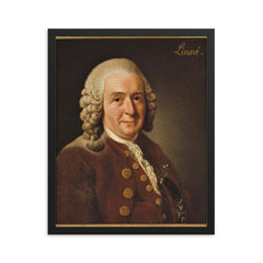 Carl Linnaeus framed print on a plain backdrop in size 16"x20".